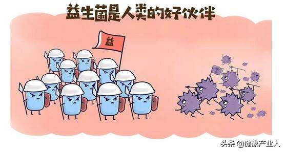 几天不排的大便去哪了?快速排出宿便只需简单一步