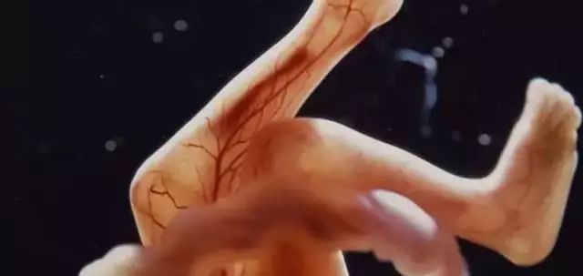 孕期护肤mama,孕期护肤食疗