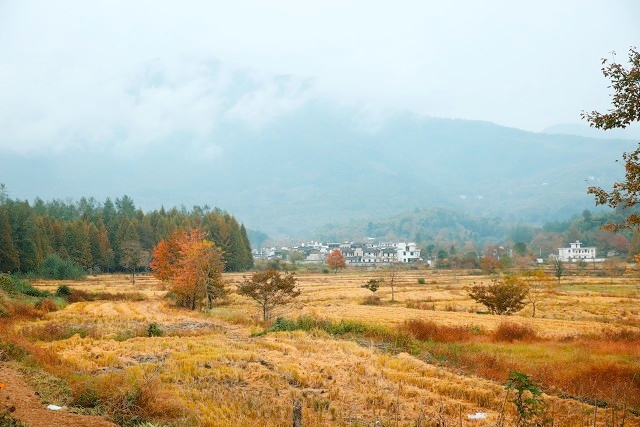 安徽中国最美三大古镇,安徽十大最美古镇