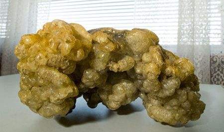 最贵的咖啡猫屎咖啡,最贵猫屎咖啡10万