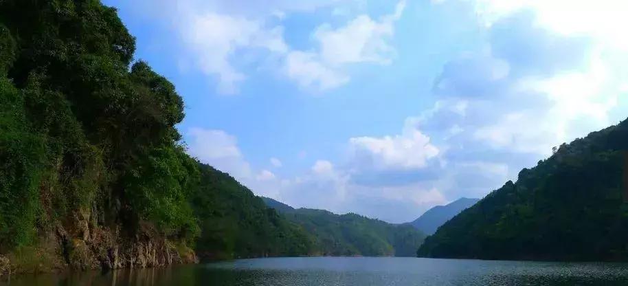 兴宁适合女性创业吗,回乡创业致富的女人