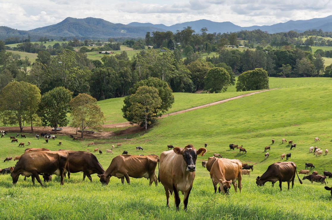 融侨集团发布公告,融侨集团最新公告