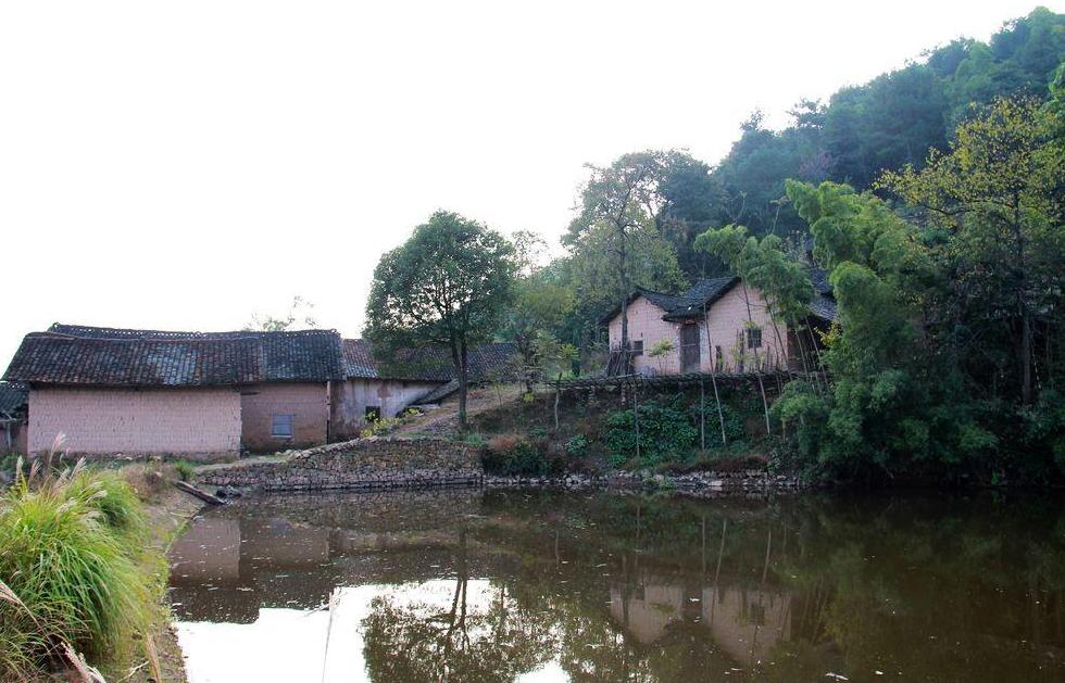 龙长虎短千金不换是什么意思,龙长虎短好还是龙短虎长好