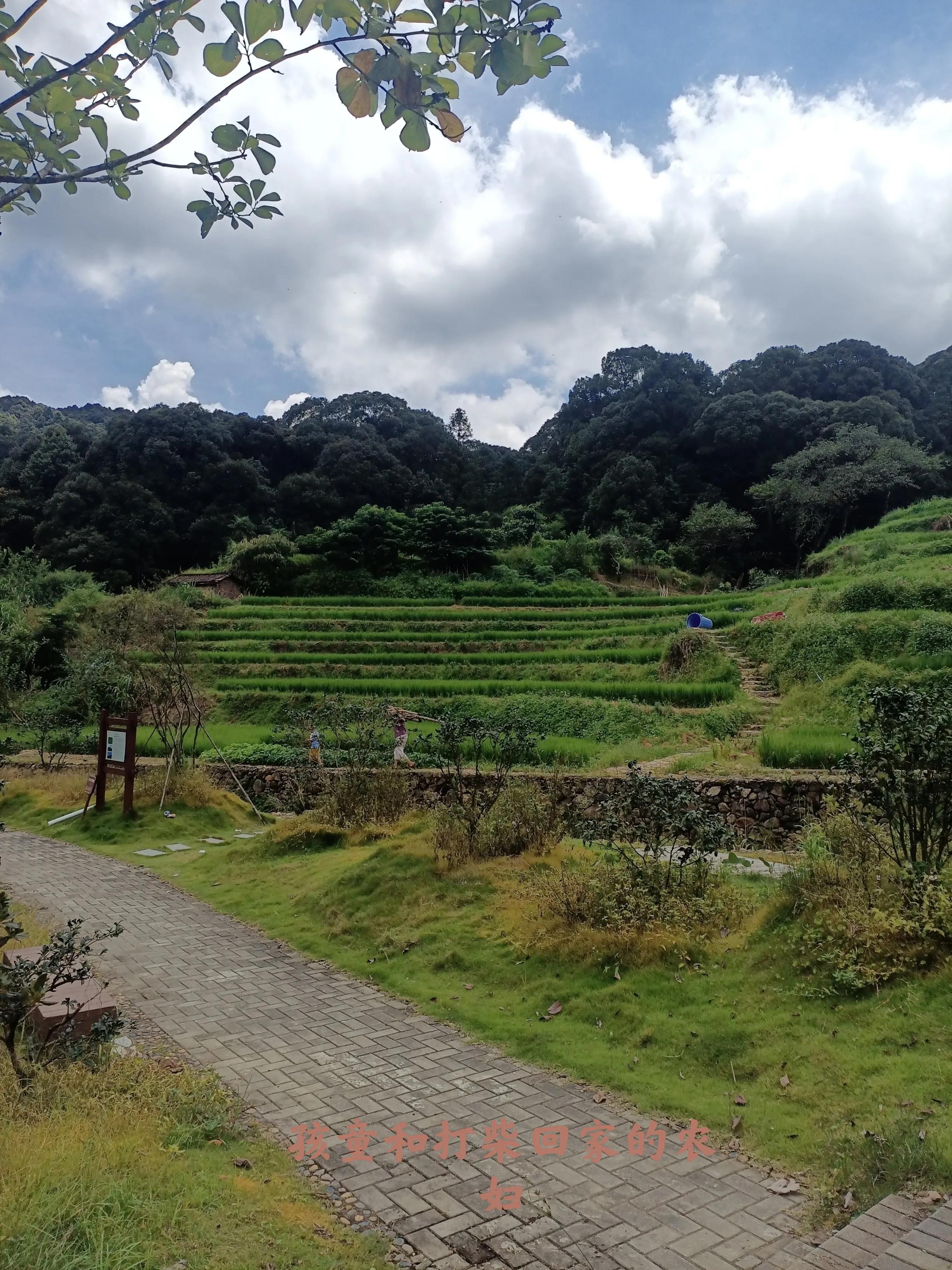 乘公交去乡下:广州海拔最高的村落-阿婆六村