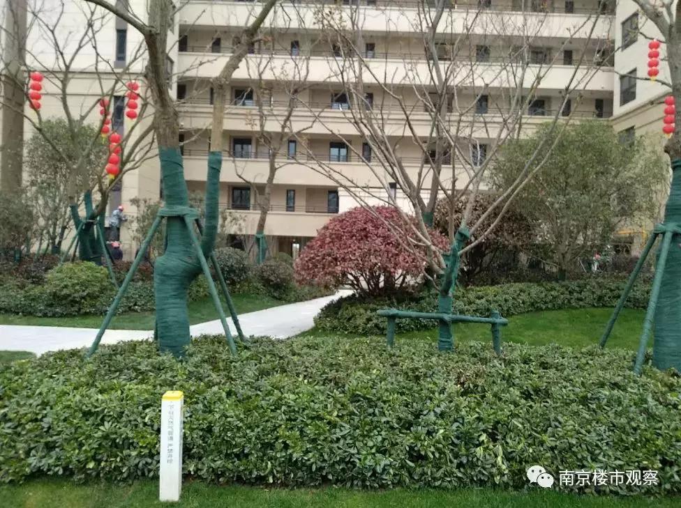 10盘迎来交付大考，实景谍照流出！这品质…