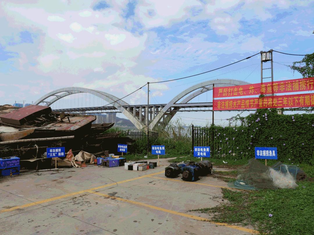 我为群众办实事法院工作报道,我为群众办实事与乡村振兴相结合