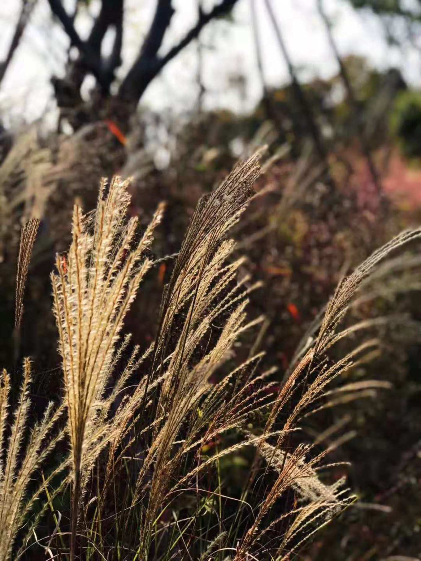 一座白楼，青山环绕，云卷雾舒～享受在莫干山野的娴静自由