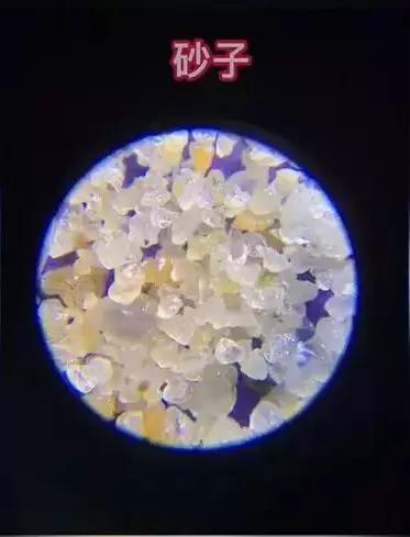 可随身携带的儿童显微镜,kenko儿童显微镜