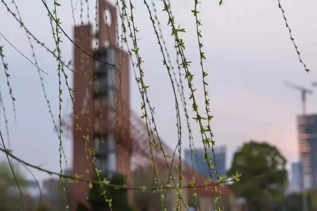 杭州美职学校风景,杭州美丽学校评选