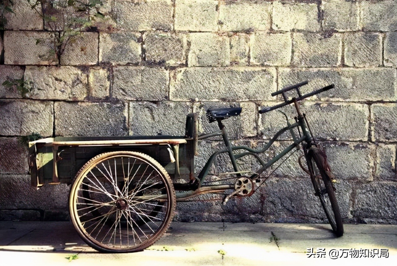 从喂鸡喂鸭到一条11万,我国狠心流放30年,为何还救不起一条鱼?