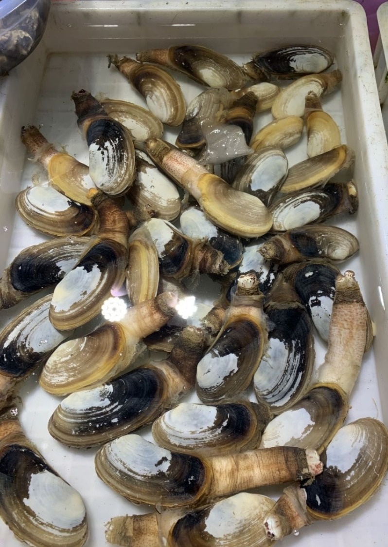 北海干货海鲜批发市场哪个便宜,北海菜市场买海鲜哪个最新鲜