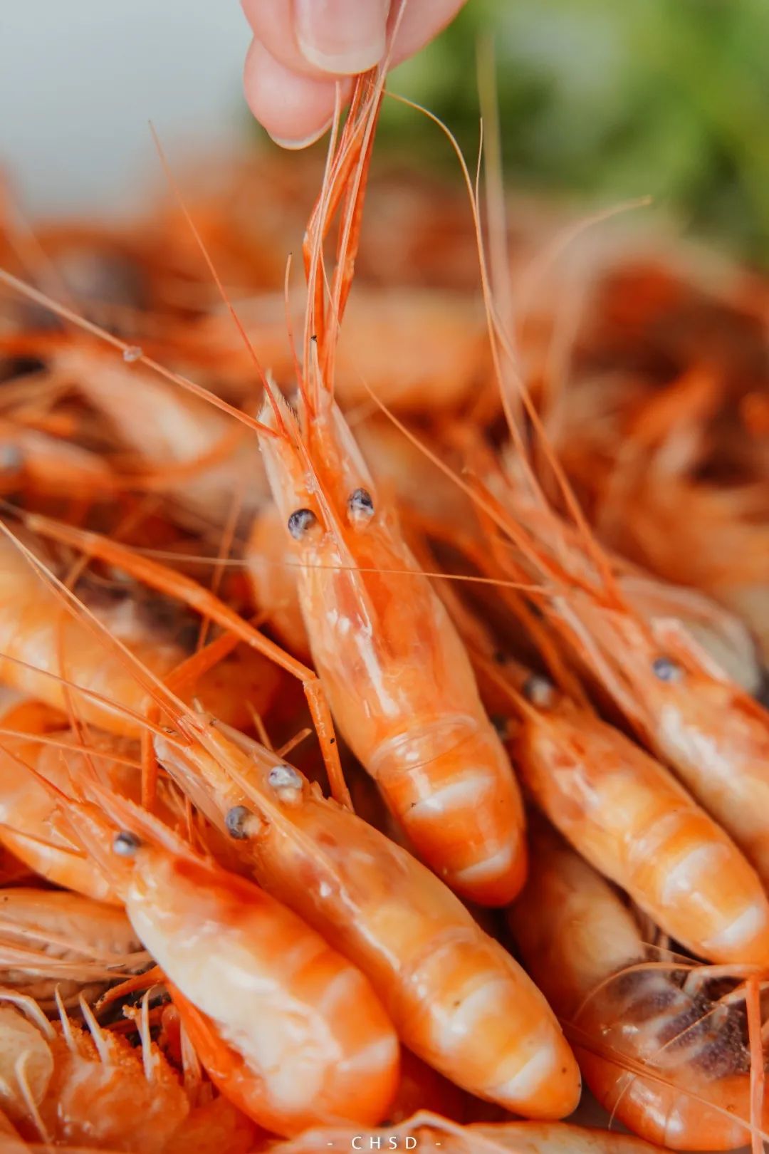 开渔啦一大波海鲜,开渔喽