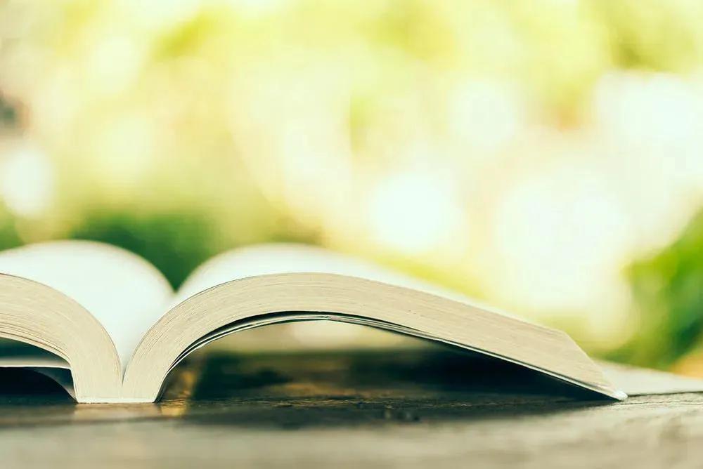 工作上被老板坑怎么说呢,职场被老板坑