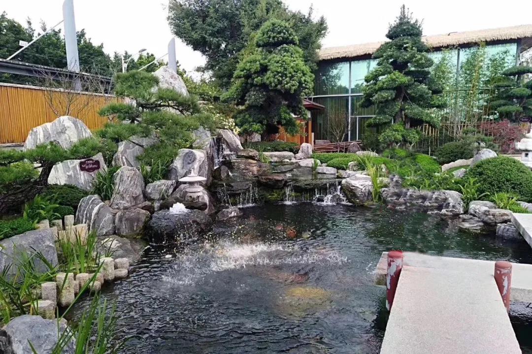 青龙石园林景观假山造景石,园林景观造景假山鱼池庭院