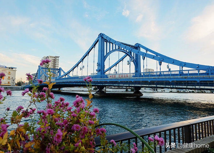 东京最新玩法,东京新奇体验