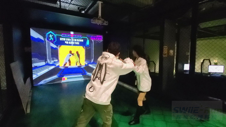 模拟体育运动,体感运动室内运动