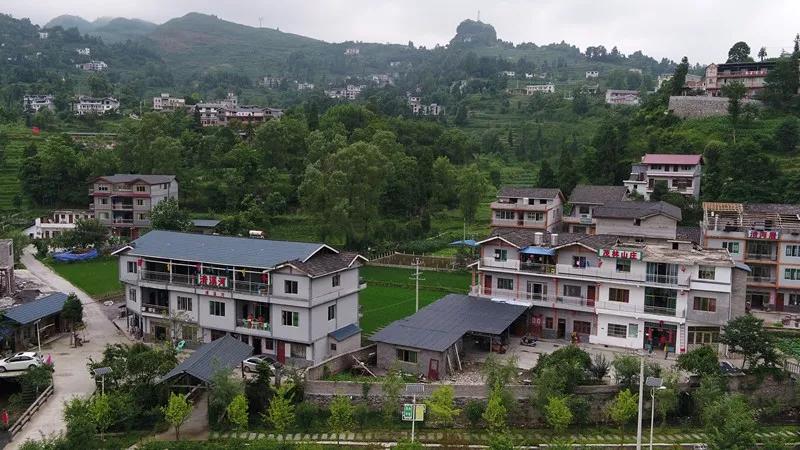 桐梓环境好的地方,桐梓森林氧吧