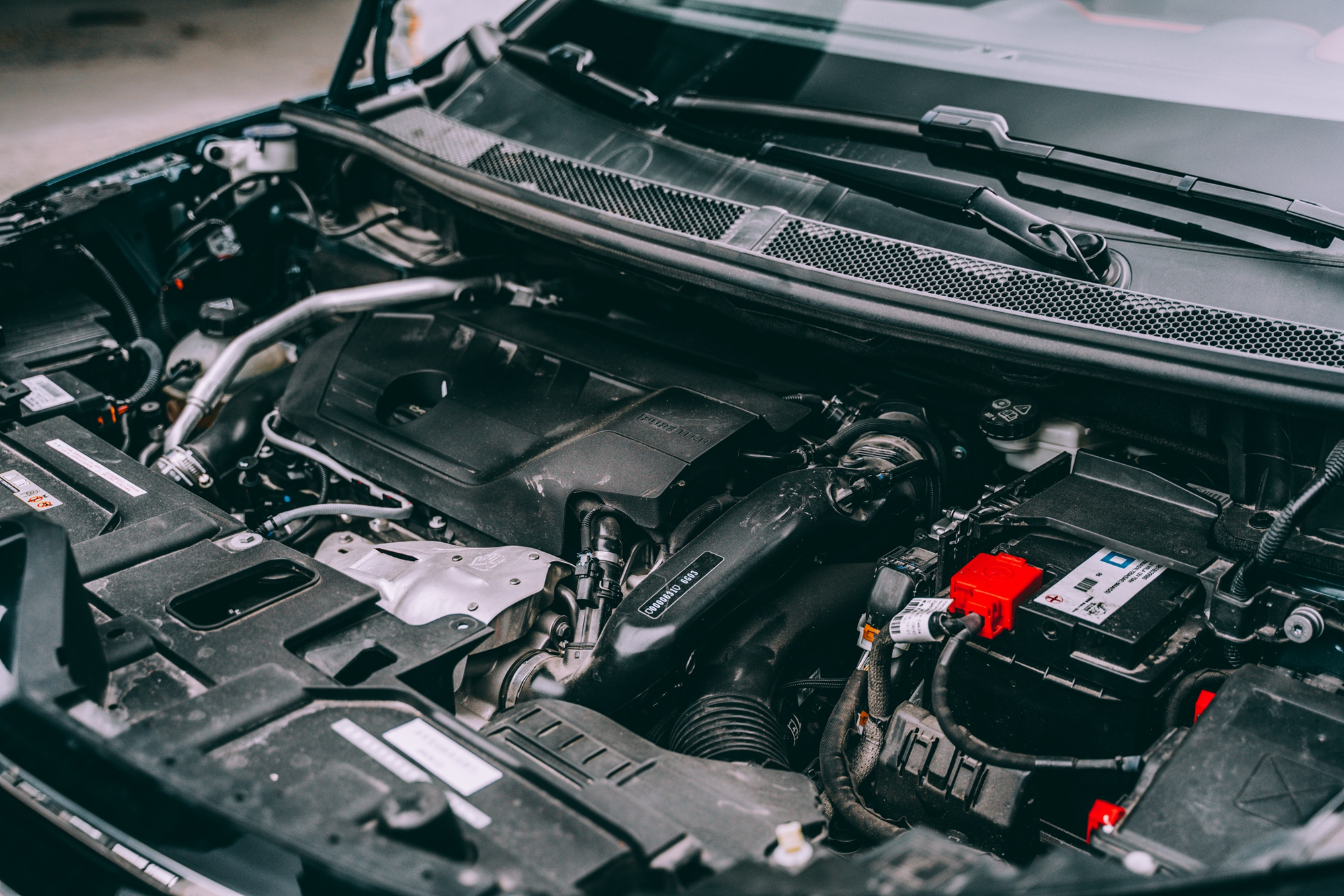 不吹不黑评测视频,不吹不黑的测评