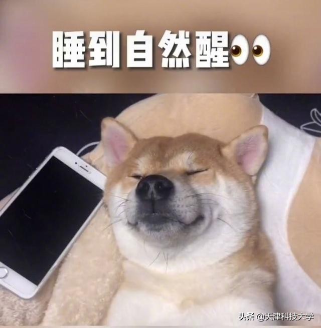 大学生生活真实案例,大学生真实生活实录