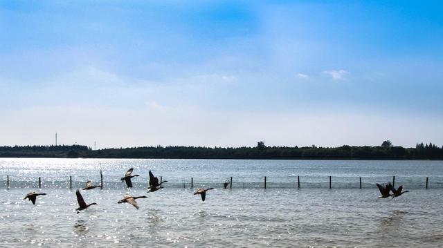 上海游玩必去的地方有哪些,上海值得玩的地方有哪些