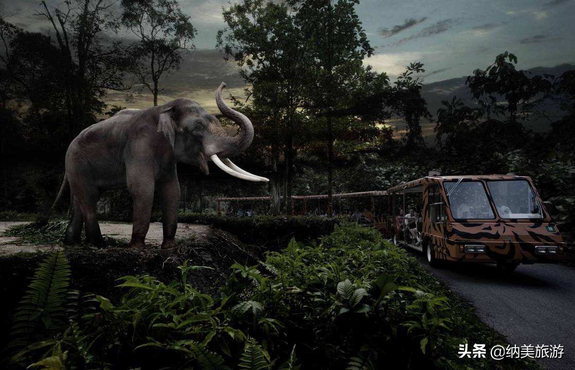 夜间野生动物园,新加坡夜间野生动物园