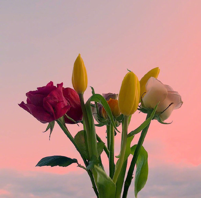 多年后若能重逢别来无恙,如果久别能重逢那该有多好