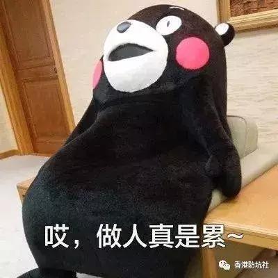 防坑购物指南,香港购物指南教你少走弯路