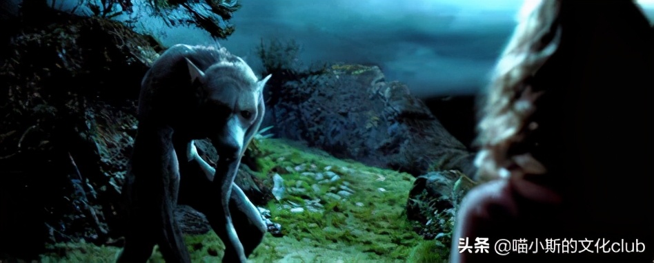 哈利·波特里的狼人都有谁,哈利波特有狼人的是哪一部