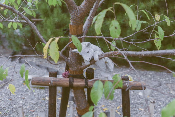 伏见稻荷大社怎么去清水寺,伏见稻荷大社到清水寺远吗