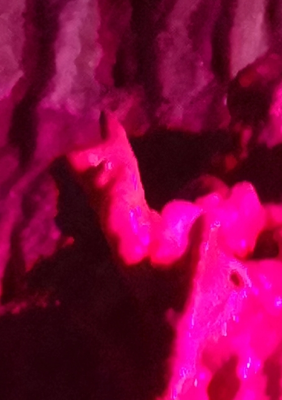 蔺相如故里景点简介,蔺相如邯郸景点