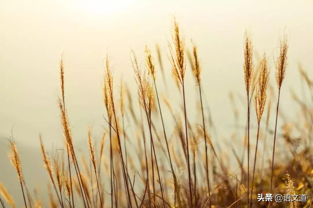 觊觎读法,觊觎同音字读音