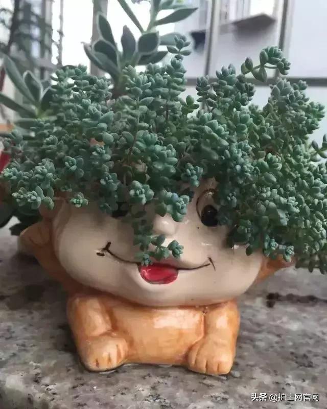 护士怎样上夜班,护士上夜班怎么才能轻松度过