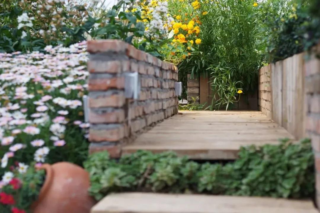 用低成本打造高颜值农场,广东夫妇超省钱