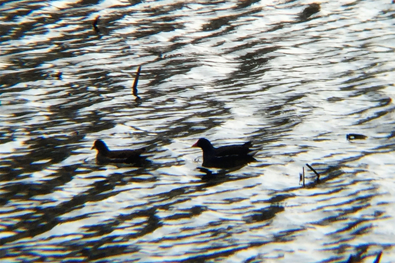月下说金陵，晨起游南京
