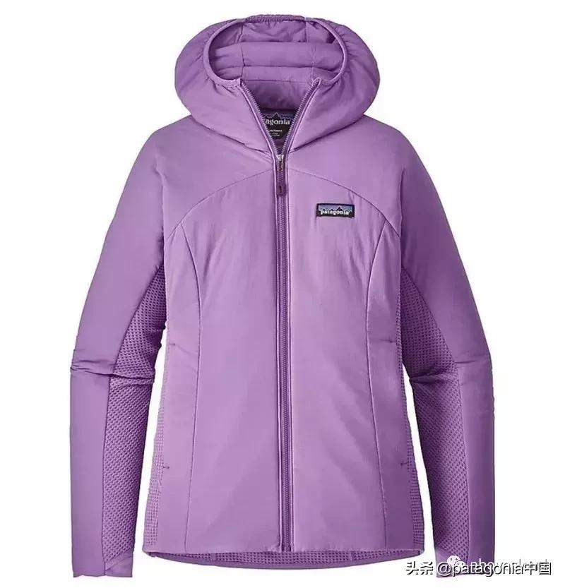 鏅哄埄鐧剧撼鍏洯,鏅哄埄鐧剧撼鍥藉鍏洯