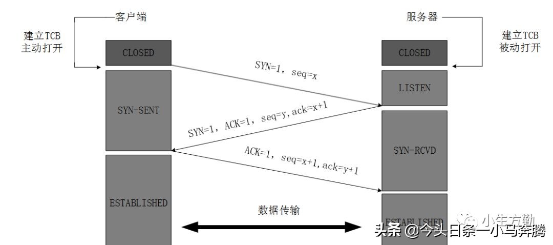 0基础学网络,计算机网络基础