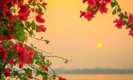 老挝旅游攻略自由行最佳路线推荐,老挝旅游的十大理由