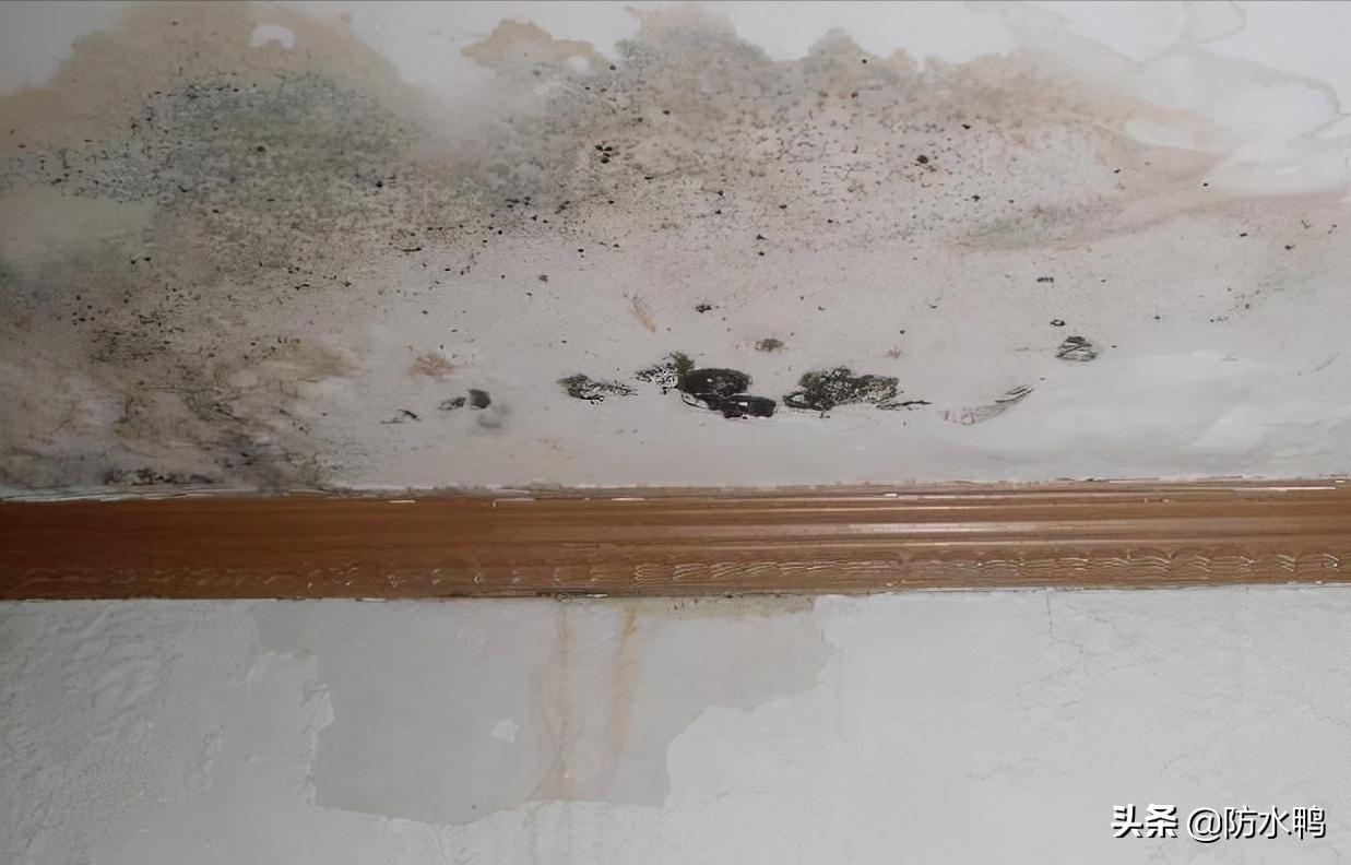 屋顶防水怎么做才是正确的,这才是真正的防水补漏