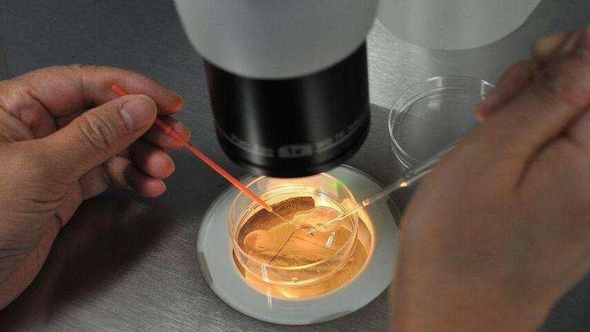 试管婴儿打夜针常识,试管婴儿常识2012