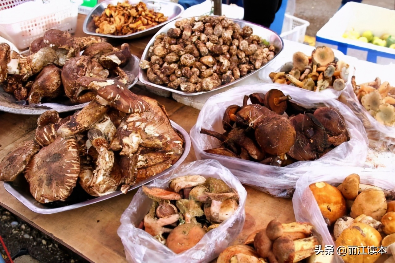 金甲和忠义市场,象山市场和金甲市场哪个好