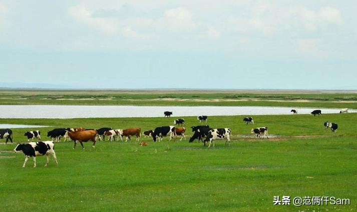 我发现一个配方篇十二:曾经上过315卡乐比麦片,现在能买了吗?