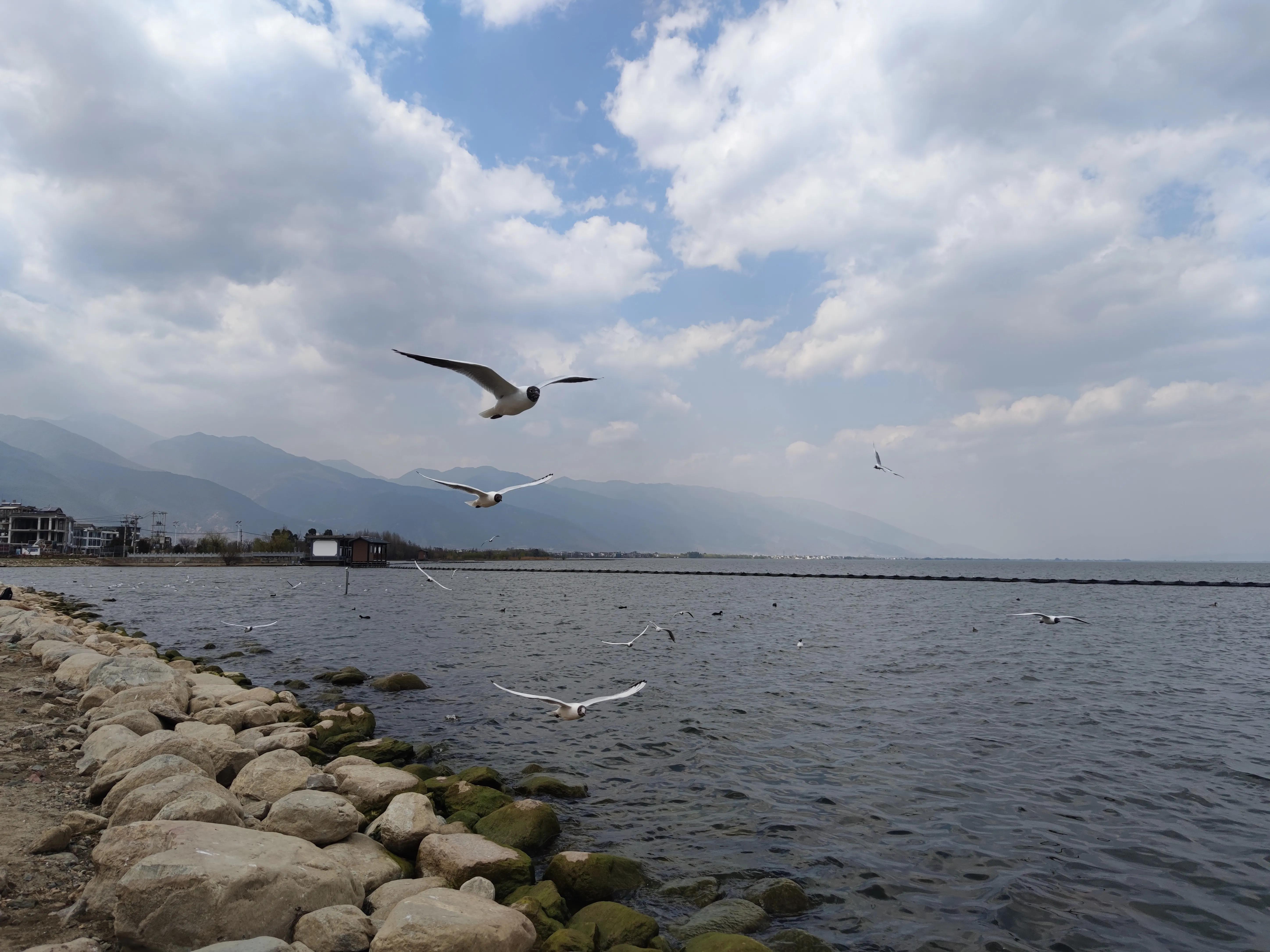 云南大理洱海龙龛古渡码头,云南洱海龙龛码头人多视频