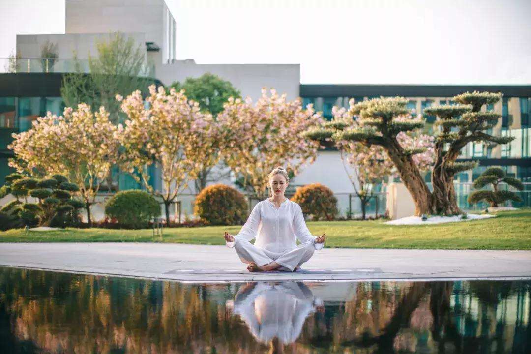 上海治愈系酒店,江浙森系治愈酒店