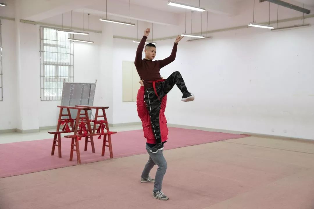 这群中江狮子为啥逗人爱?能跳能翻还会抓痒眨眼、难怪火了7年