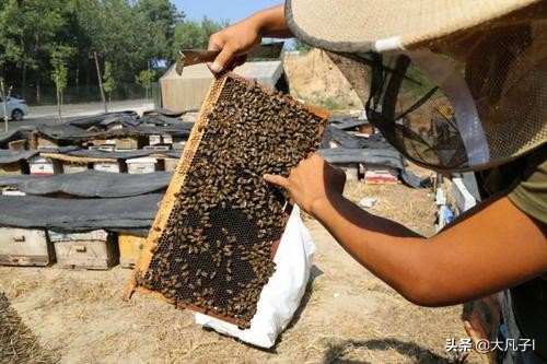 农村创业新思路感悟,农村电商创业计划书