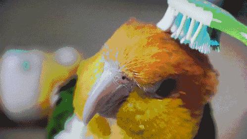 早上洗头易造成脱发吗女生,每天洗头严重脱发