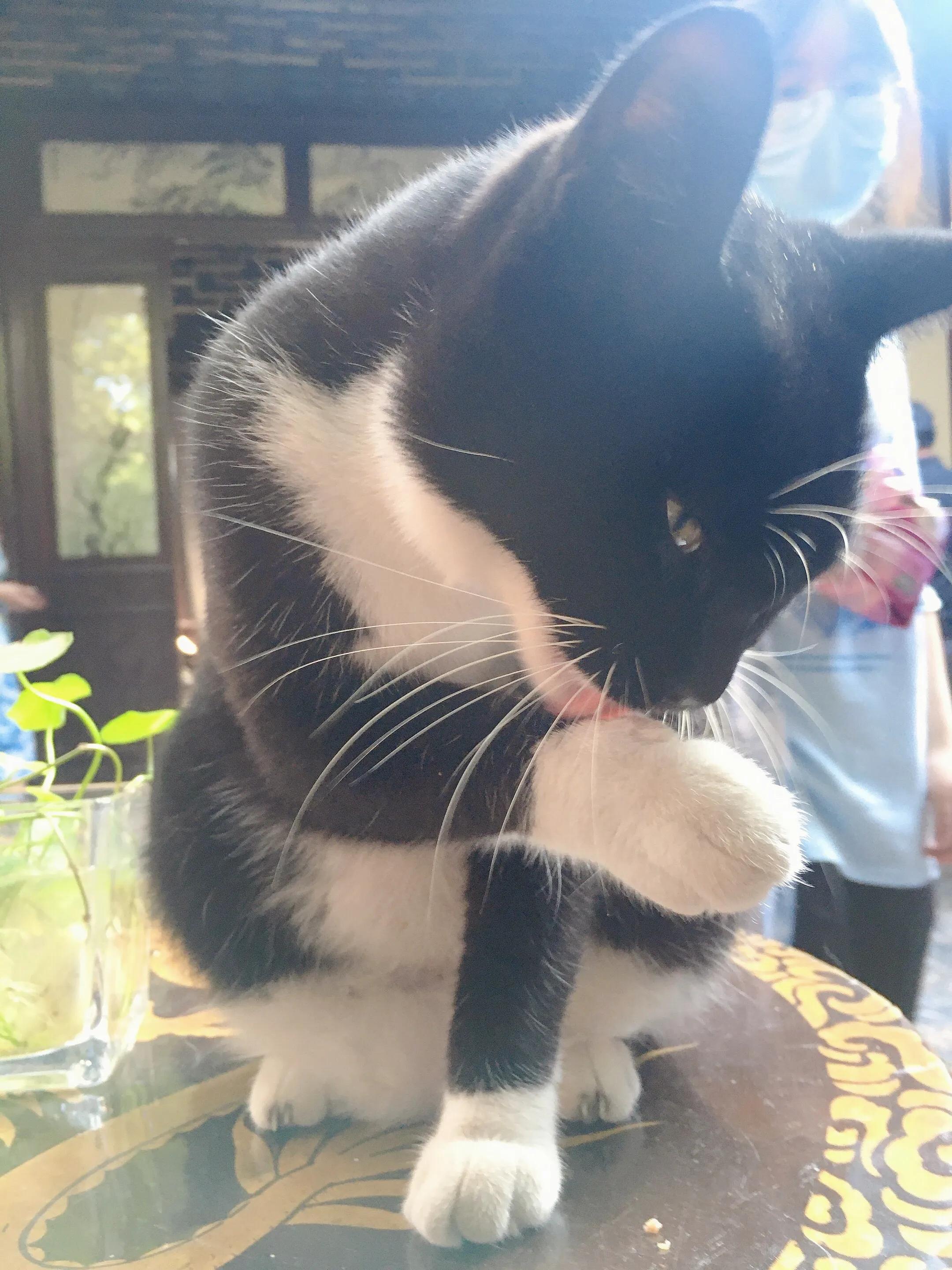 苏州的西园寺好还是虎丘塔好,苏州西园寺距离哪个景点近