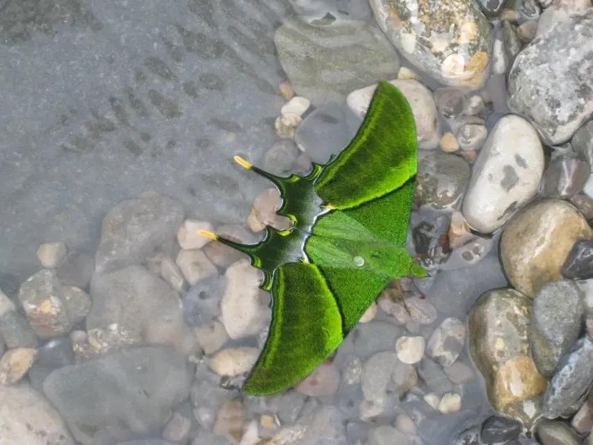 质疑不代表不信任,质疑不可以置疑吗