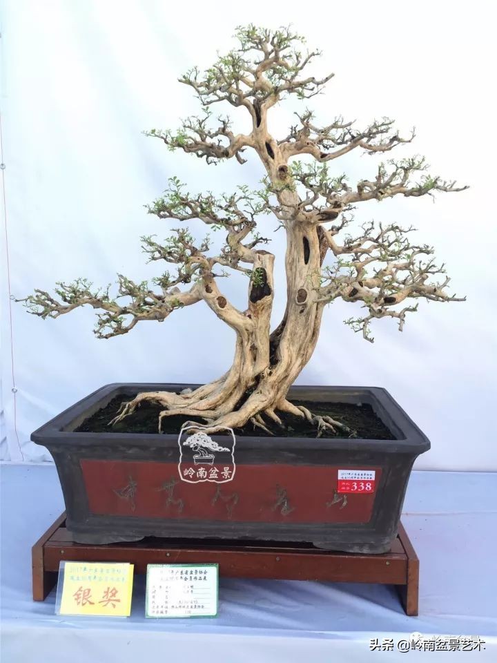 骞哥涔呬箙鐢滅敎铚滆湝,骞哥涔呬箙