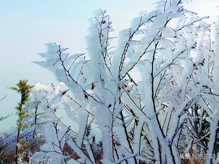 南轩传奇（长篇小说连载之十八）